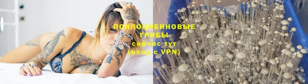 не бодяженный Богданович