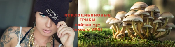 скорость Богородск