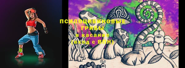 мдпв Белокуриха
