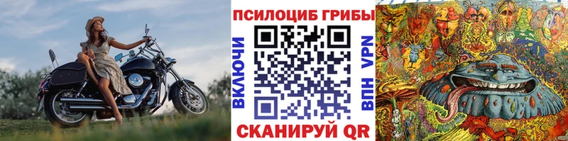 Галлюциногенные грибы Magic Shrooms  что такое наркотик  Бодайбо 