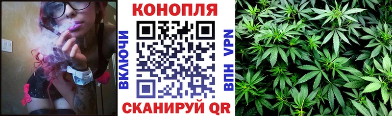 хочу наркоту  Бодайбо  blacksprut сайт  Шишки марихуана VHQ 